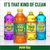 Pine-Sol All Purpose Multi-Surface Cleaner12