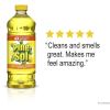 Pine-Sol All Purpose Cleaner9