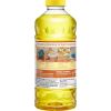 Pine-Sol All Purpose Cleaner4