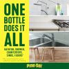 Pine-Sol All Purpose Cleaner13