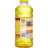 Pine-Sol All Purpose Cleaner3