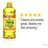 Pine-Sol All Purpose Cleaner5