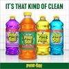 Pine-Sol All Purpose Multi-Surface Cleaner8