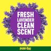 Pine-Sol All Purpose Multi-Surface Cleaner12