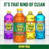 Pine-Sol All Purpose Multi-Surface Cleaner9