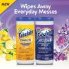 Fabuloso Disinfecting Wipes5