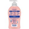 Softsoap Watermelon Hand Soap2