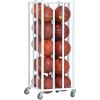 Champion Sports Deluxe Vertical Ball Cage4