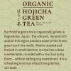 Tejava Origins Organic Hojicha Green Tea Bottle4