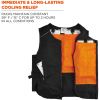 Chill-Its 6260 Safety Vest7