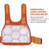 Chill-Its 6215 Safety Vest3