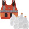 Chill-Its 6215 Safety Vest1