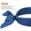 Chill-Its 6702 Cooling Bandana5