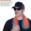 Chill-Its Evaporative Cooling Towel2