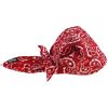 Chill-Its 6710CT Evaporative Cooling Bandana Triangle Hat1