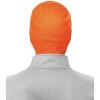 Ergodyne 6812 Ribbed Knit Beanie4