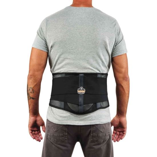 ProFlex 1051 Mesh Back Support w/Lumbar Pad1