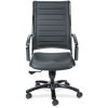 Eurotech Europa Titanium Frame Executive Chair2