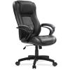 Raynor Pembroke Mid Back Executive Chair5