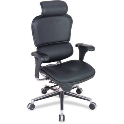 Raynor ergohuman LE9ERG High Back Executive Chair1