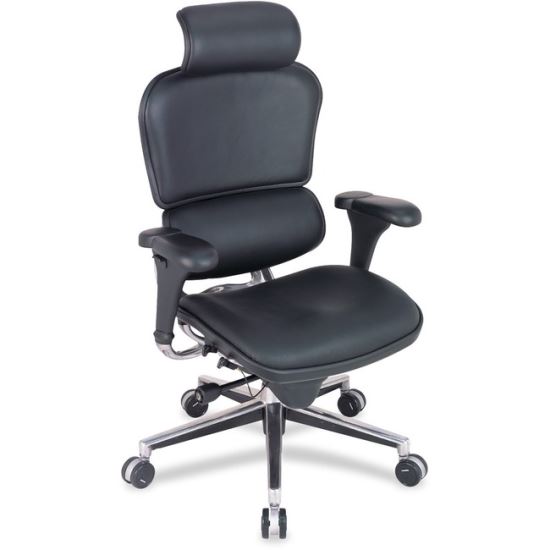 Raynor ergohuman LE9ERG High Back Executive Chair1