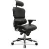 Raynor ergohuman LE9ERG High Back Executive Chair2