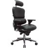 Eurotech Ergohuman Leather Executive Chair1