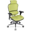 Eurotech Ergohuman Leather Executive Chair1