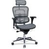 Eurotech ergohuman Mesh Multifunction High Back Executive Chair1