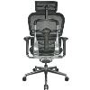 Eurotech ergohuman Mesh Multifunction High Back Executive Chair3