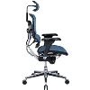 Eurotech ergohuman Mesh Multifunction High Back Executive Chair4