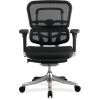 Eurotech Ergo Elite High Back Executive Chair2