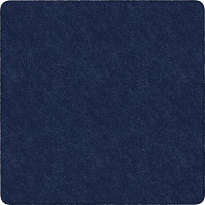 Flagship Carpets Amerisoft Solid Color Rug1