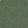 Flagship Carpets Amerisoft Solid Color Rug1