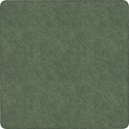 Flagship Carpets Amerisoft Solid Color Rug1