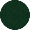 Flagship Carpets Amerisoft Solid Color Rug1