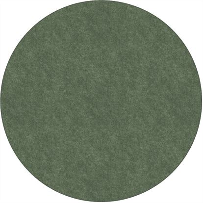 Flagship Carpets Amerisoft Solid Color Rug1