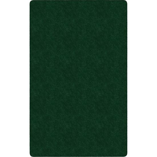 Flagship Carpets Amerisoft Solid Color Rug1