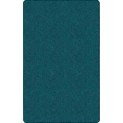 Flagship Carpets Amerisoft Solid Color Rug1