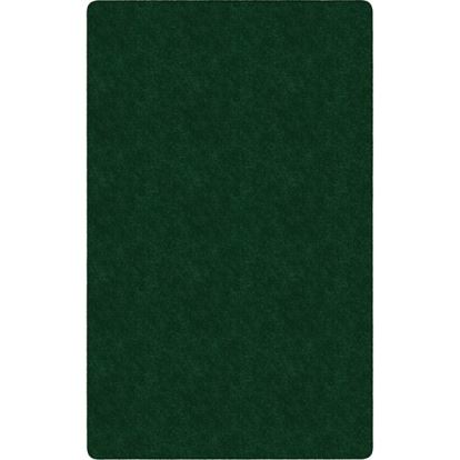 Flagship Carpets Amerisoft Solid Color Rug1