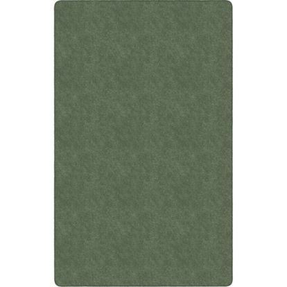 Flagship Carpets Amerisoft Solid Color Rug1