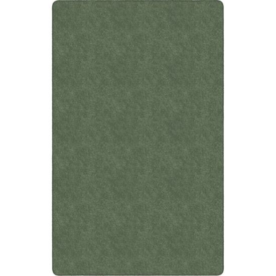 Flagship Carpets Amerisoft Solid Color Rug1