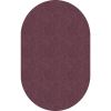 Flagship Carpets Amerisoft Solid Color Rug1