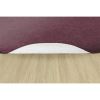 Flagship Carpets Amerisoft Solid Color Rug2