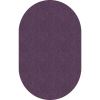 Flagship Carpets Amerisoft Solid Color Rug1