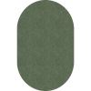 Flagship Carpets Amerisoft Solid Color Rug1