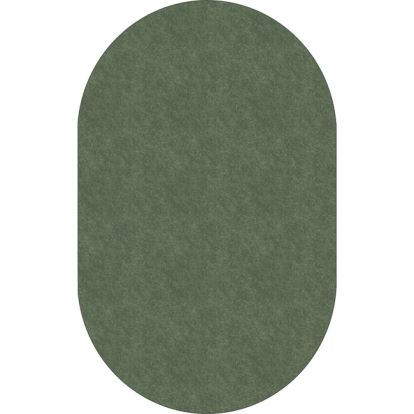 Flagship Carpets Amerisoft Solid Color Rug1