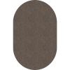 Flagship Carpets Amerisoft Solid Color Rug1