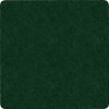 Flagship Carpets Amerisoft Solid Color Rug1