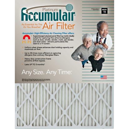 Accumulair Platinum Air Filter1